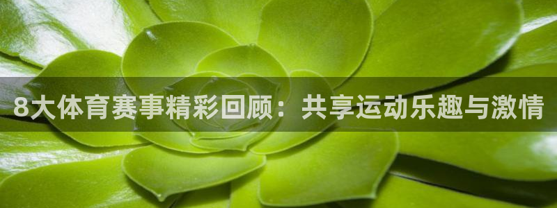 8大体育赛事精彩回顾：共享运动乐趣与激情