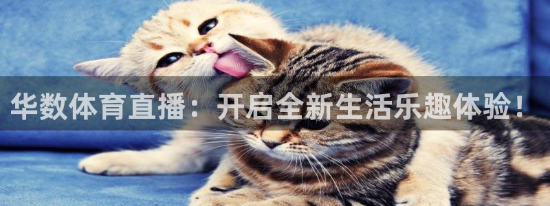 华数体育直播：开启全新生活乐趣体验！