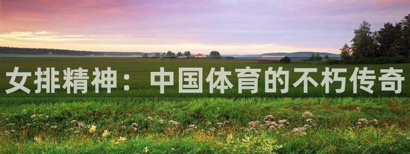女排精神：中国体育的不朽传奇