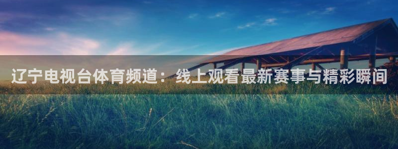 辽宁电视台体育频道：线上观看最新赛事与精彩瞬间