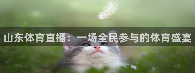山东体育直播：一场全民参与的体育盛宴