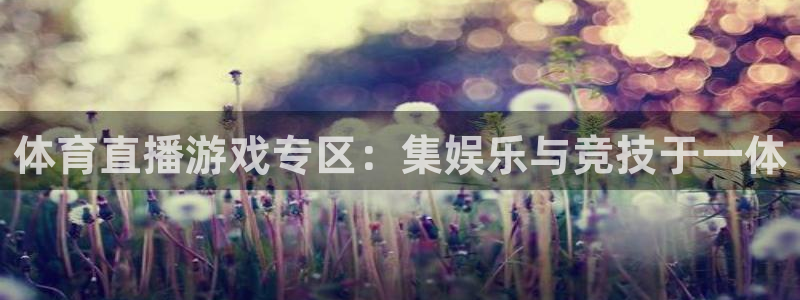 体育直播游戏专区：集娱乐与竞技于一体