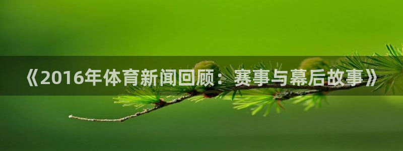 新闻图片